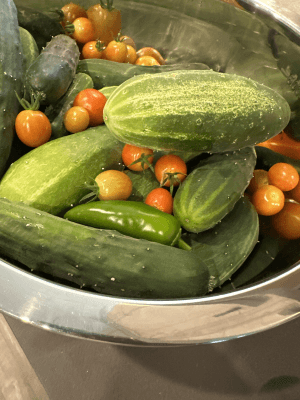 cucumber_and_tomatoes cucumber_and_tomatoes