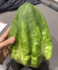 IMG_1935 Small IMG_1935 Small