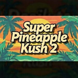 Super Pineapple Kush F2 | Premium Novelty Cannabis Seeds