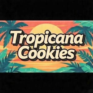 Tropicana Cookies | Premium Novelty Cannabis Seeds